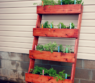 7 DIY Herb Garden Ideas